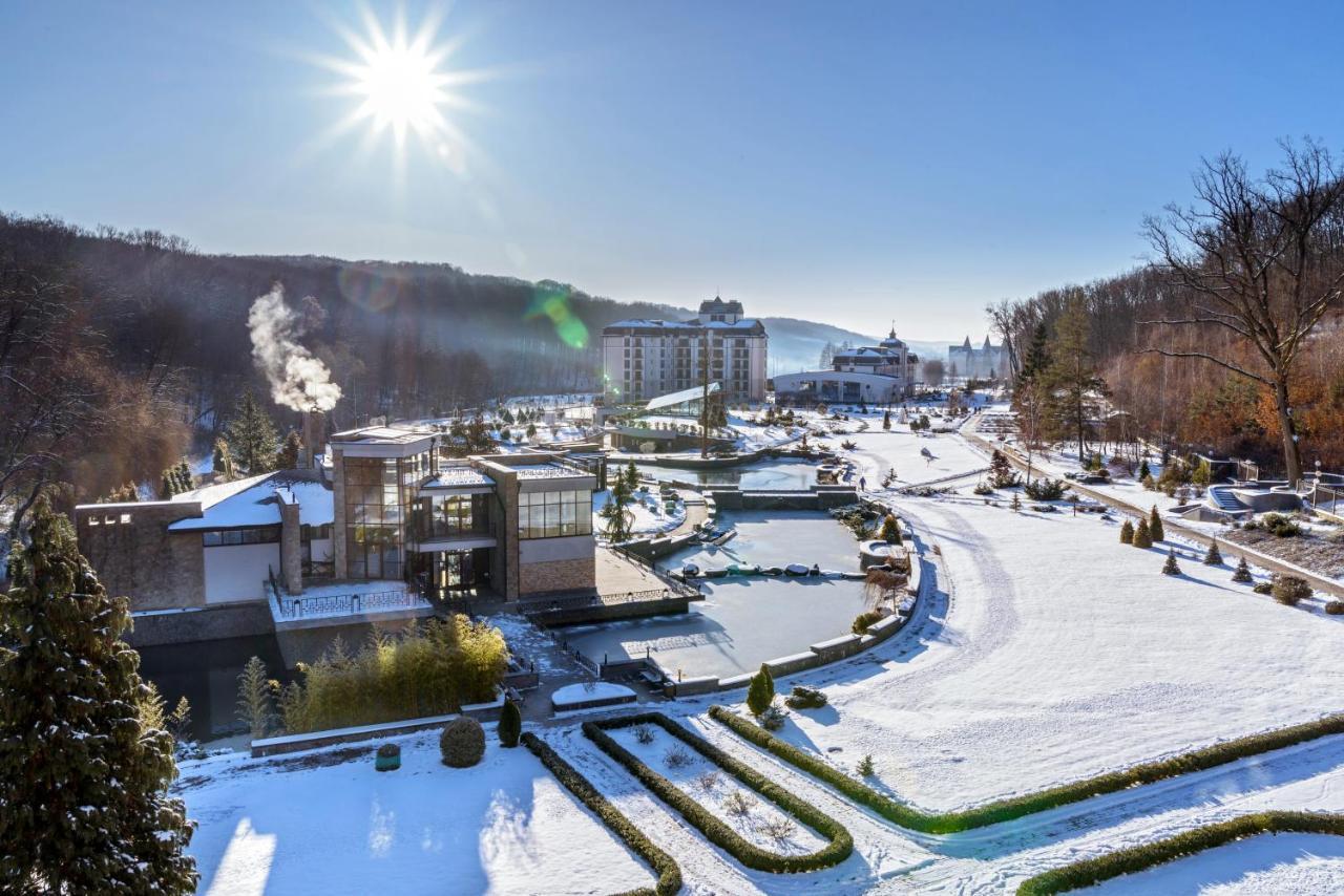 Hotel Irys by Derenivska Kupil Nyzjne Solotvyno Exteriör bild